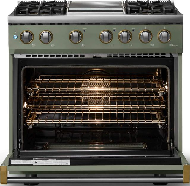 Viking® 5 Series 36" Eucalyptus Pro Style Dual Fuel (LP) Range with Brushed Brass Trim-1