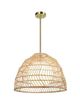 Renwil® Palm Natural Pendant Lighting-3