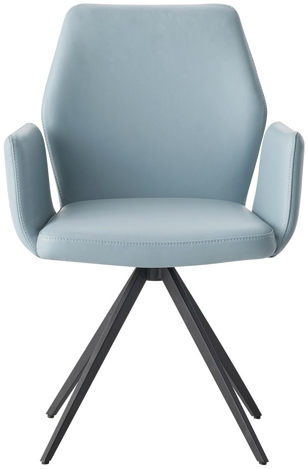 Acme Furniture Segismunda Swivel Arm Chair - Thumbnail 5