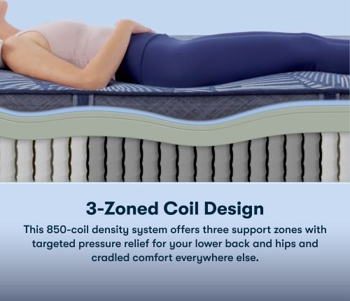 Serta Perfect Sleepe Euphoric Nights 14" Hybrid Plush Tight Top Queen Mattress