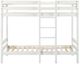 ACME Furniture Esin White Twin Over Twin Bunk Bed-1