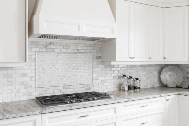 Hauslane 36" Stainless Steel Pro-Style Convertible Insert Range Hood-1