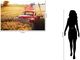 Classy Living Classic Rustic Patriot Wall Art-2