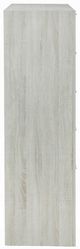 ACME Furniture Jehoram Beige Chest-4