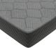 American Bedding™ Lyra 12" Foam Encased Spring Plush Tight Top Twin Mattress-1
