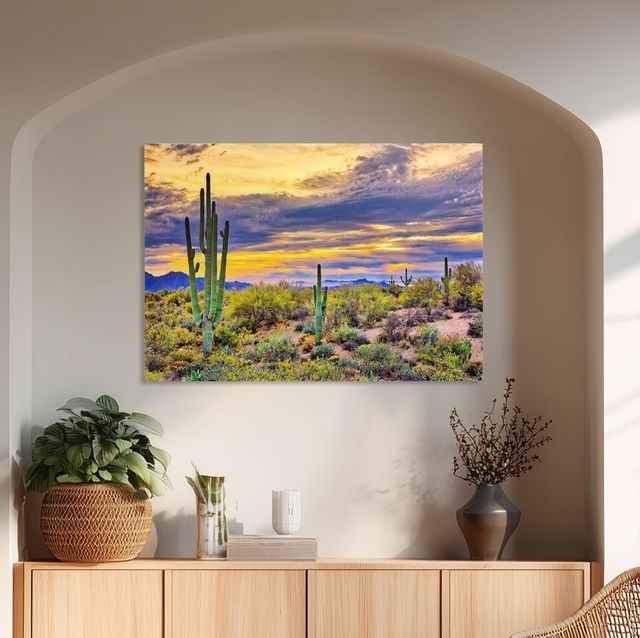 YHD Saguaro Sunset Wall Art-1