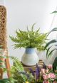 A & B Home Multi-Colored Vase-5