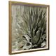 Stylecraft Succulent Verde I Brown/Green Wall Art-0