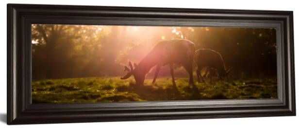Classy Art Morning Haze by Joe Reynolds Wall Art-1