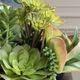 Uttermost® Mico Black/Green Succulent Centerpiece-5