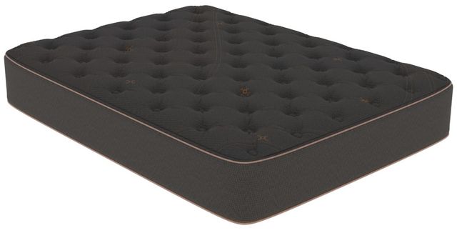 Tommie Copper® Core Znergy® 11" Hybrid Firm Tight Top Twin XL Mattress in a Box-0