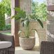 Uttermost® Regalia Weathered Stone-Like Indoor-Outdoor Planter-1