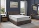 Sherwood® Bedding Truform 12.5" Momentum Innerspring Soft Tight Top King Mattress -1
