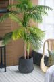 A & B Home Gunmetal Large Planter-2