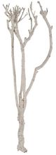 A & B Home White Branch Decor-1