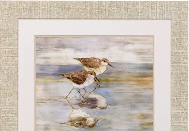 Stylecraft Golden Sandpipers Framed Print-1