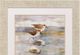 Stylecraft Golden Sandpipers Framed Print-1