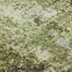 Dalyn™ Rug Company Lumara LM2 Aloe 5'x8' Area Rug-5