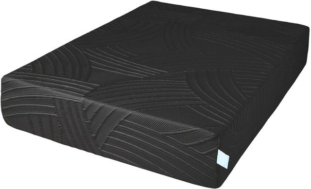 Dreamstar Bedding Genesis Collection Element 14" Foam Medium Full Cover Queen Mattress in a Box-0