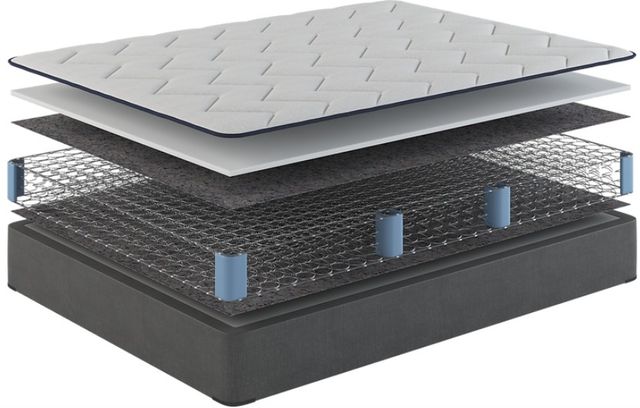 Sherwood® Bedding Villa XXV Firm FxET 8.75" Wrapped Coil Firm Euro Top King Mattress-2