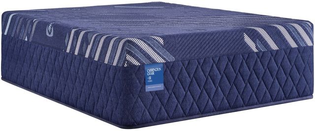 Sealy® Carrington Chase Travelers Rest 14" Hybrid Soft Tight Top Queen Mattress