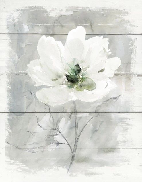 Classy Art Farmhouse Rose II by Carol Robinson Wall Art-0