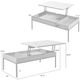 Armen Living Reba Natural Lift-Top Coffee Table with Black Base-2