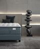 Aireloom® Luxetop™ Burbank Wrapped Coil Luxury Plush California King Mattress-4