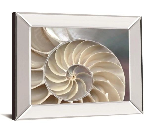 Classy Art Nautilus by Levine, A. Wall Art-1