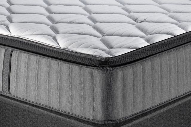 Spring Air® Back Supporter Isabel 12" Hybrid Plush Euro Top Queen Mattress-1