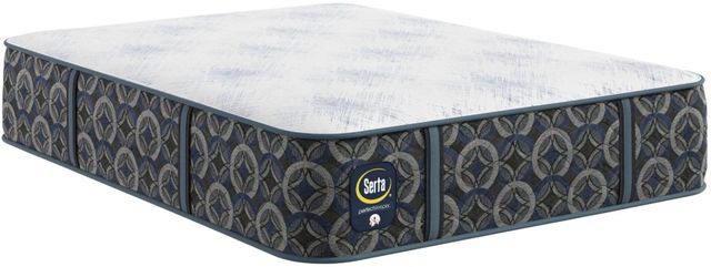 Serta® Perfect Sleeper® Cascade Bluff 14.5" Hybrid Plush Smooth Top Twin Mattress-0