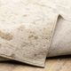 Oriental Weavers™ Lauren Beige 5'x7' Style 2 Area Rug-5