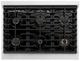 ZLINE Autograph Edition 36" Satin Stainless Steel Pro Style Gas Range with White Matte Door and Matte Black Accents-4
