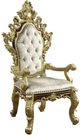 ACME Furniture Desiderius 2-Piece Antique Gold/Beige/Brown Arm Chair Set-0