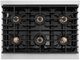 ZLINE Autograph Edition Paramount Series 36" Stainless Steel Pro Style Dual Fuel Range with Matte Black Door and Polished Gold Accents-2