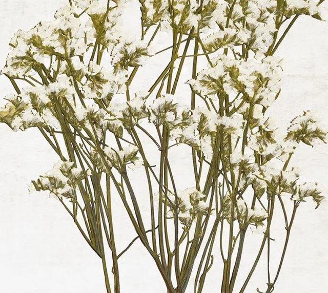 Classy Art Farmhouse Pressed Flower II by Natalie Carpentieri Wall Art-1