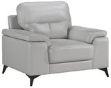 Silver Gray