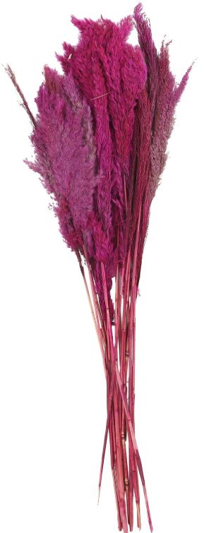 Deco Marche Pink Dried Plant Pampas Grass Natural Foliage with Long Stems-1