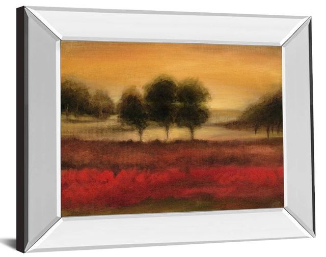 Classy Art Printed Mcintire Grove Il by Ethan Harper Mirror Framed Wall Art-1