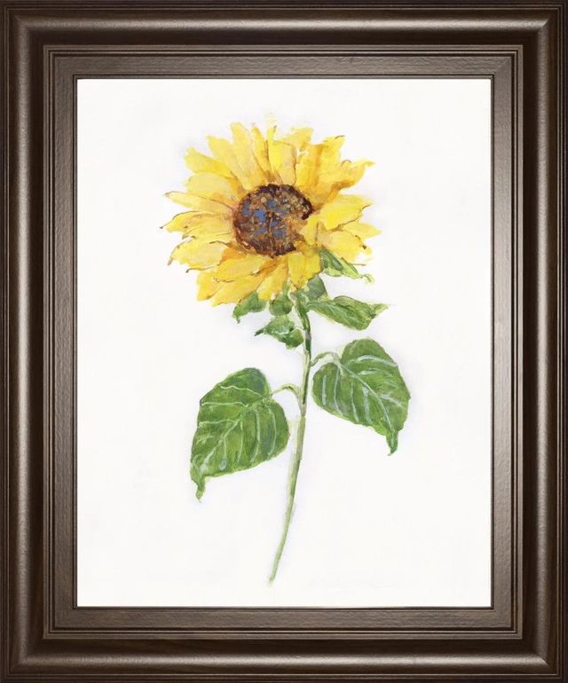 Classy Art Sunflower II by Sally Swatland Framed Wall Art-0