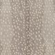Surya Gazelle Multi-Colored 9'x12' Area Rug-3