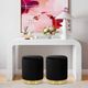TOV Furniture Zoe Black Velvet Storage Ottoman-4