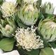 Uttermost® Protea Blooms Green/White Centerpiece-5