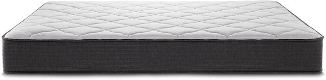Beautyrest® Anya Pocketed Coil Firm Tight Top Queen Mattress-2
