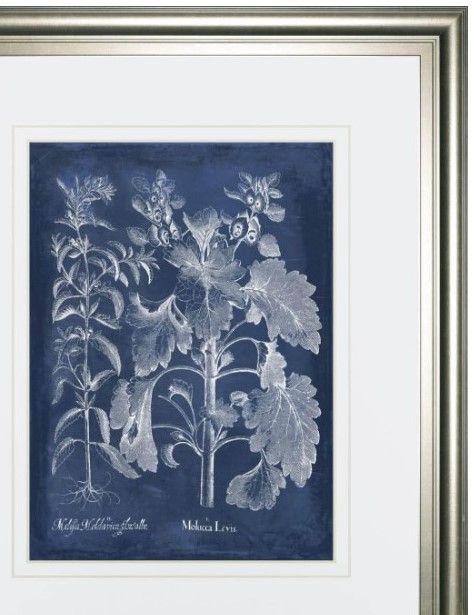 Classy Living Vision Studio Besler Leaves in Indigo I 40" Wall Art-1