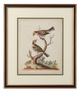 Chelsea House Edwards Bird Pairs II-0