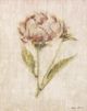 StyleCraft Light and Airy lll Wall Art-1