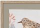 Bassett Mirror Shell Peppers 4-Piece Wall Art Set-1