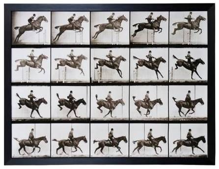StyleCraft Animal Locomotion Wall Art-0