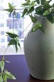 Signature Design by Ashley® Baychester Antique Green 13" Vase-1